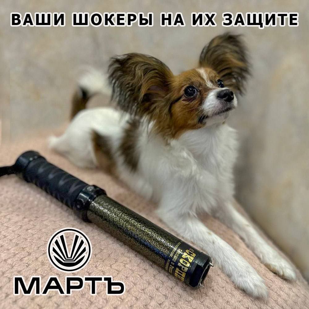 Завёл собаку? Купи электрошокер!