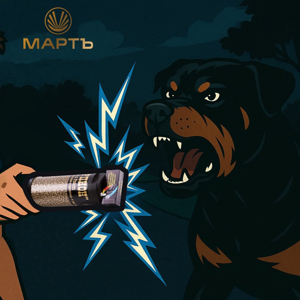 Стаи бродячих псов держат красноярцев в страхе. Как вести себя при встрече с ними?