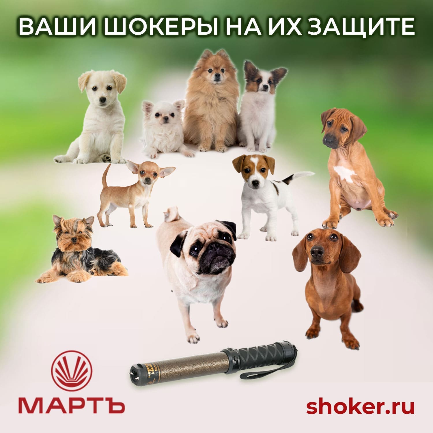 Шокер — не меч, шокер — щит: Почему это важно?