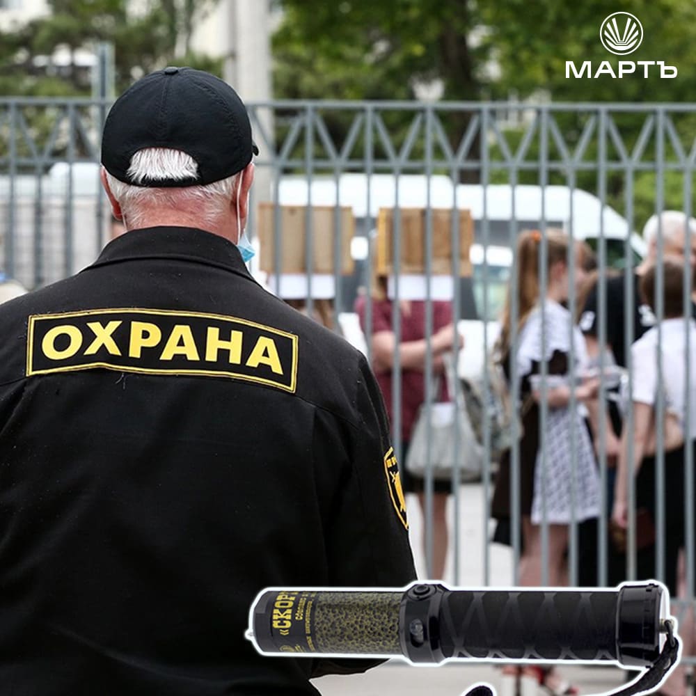 Офицер Арзанов: охранников в школах стоит снабдить средствами защиты